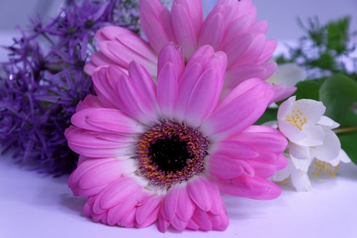 Pink Gerbera Daisies and Purple Alliums