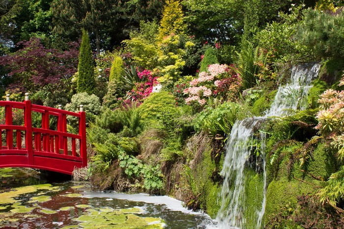 Mount Pleasant Gardens with Waterfall and Red Bridge