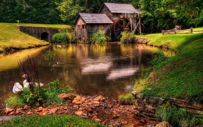 Watermill by a pond with geese and a stone bridge