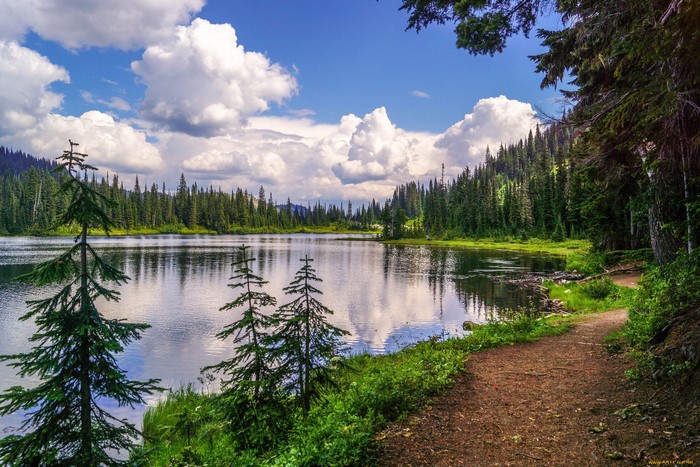 Lake and forest with a hiking trail
