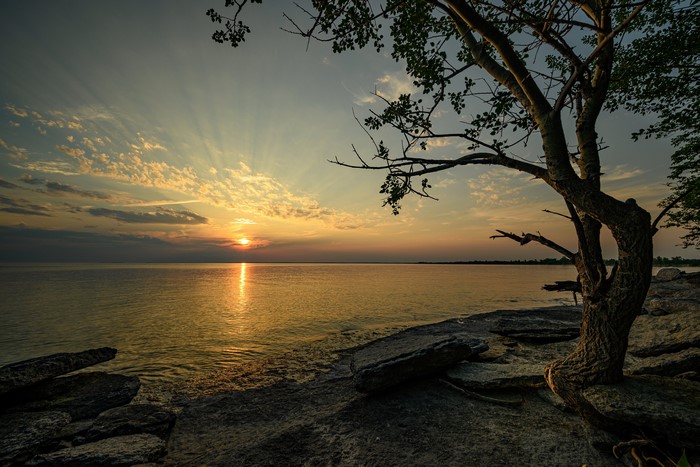 Sunset Over Ontario Bay with Tree and Stones