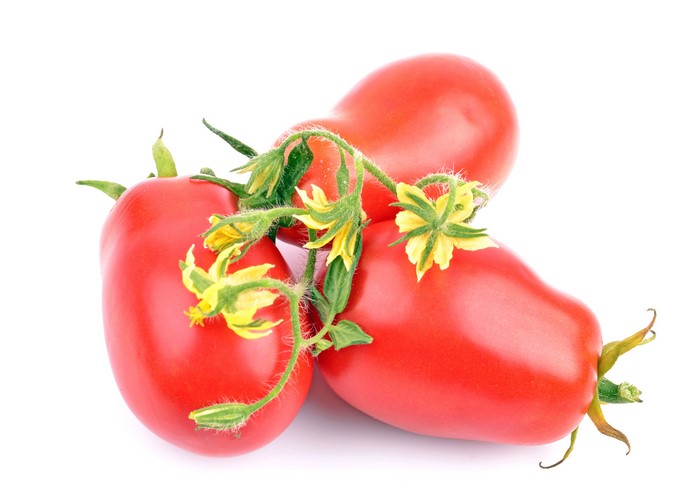 Three Roma Tomatoes with Flowers