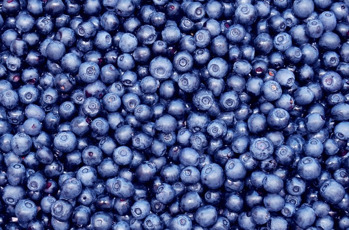 A pile of fresh blueberries