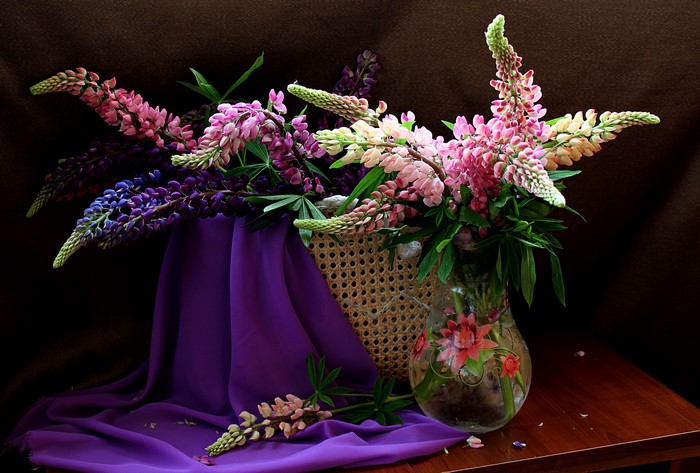 Lupinus flowers in a vase and basket