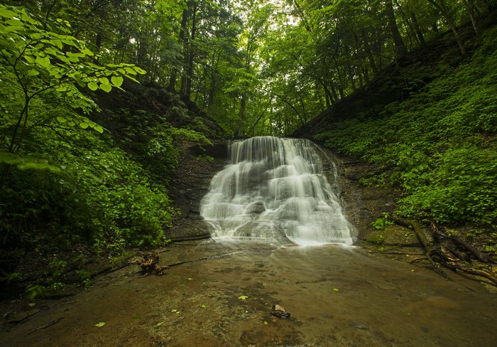 Waterfall in a lush green forest