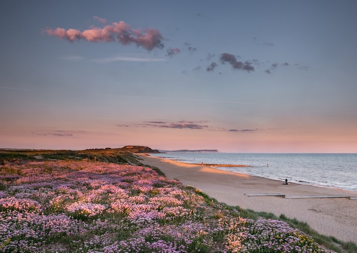 Southbourne Beach at sunset with wildflowers