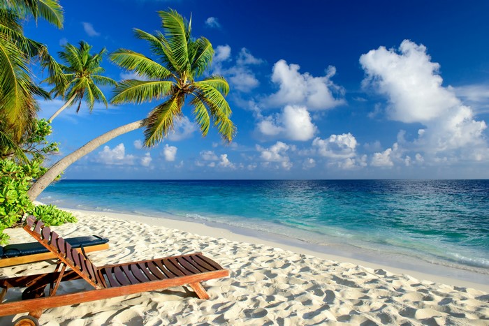 4K Tropical Beach with Palm Trees and Sunloungers