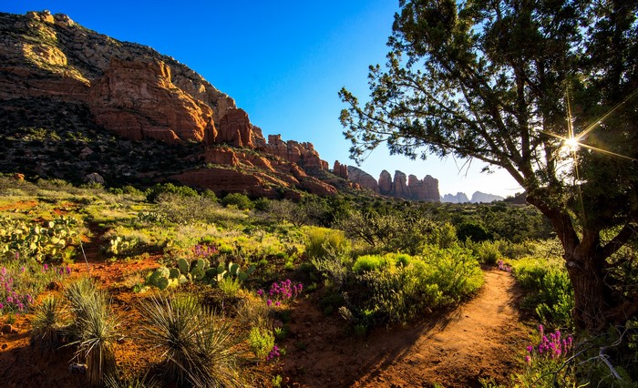 Desert trail with red rocks and sun rays