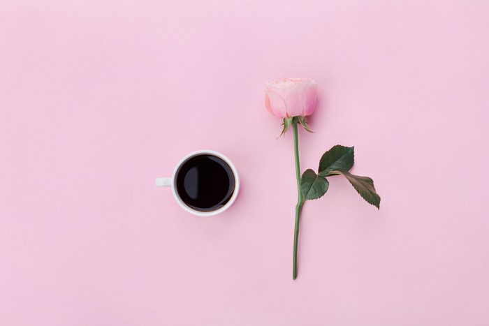 Coffee cup and pink rose on pink background
