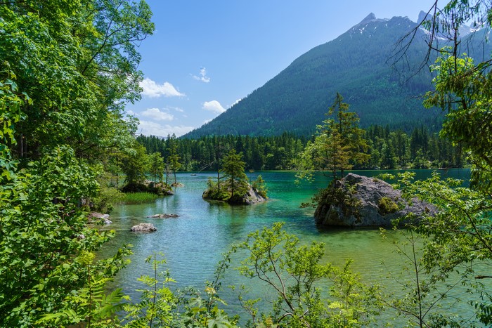Germany Mountains Lake Forests Stones Bavaria Branches