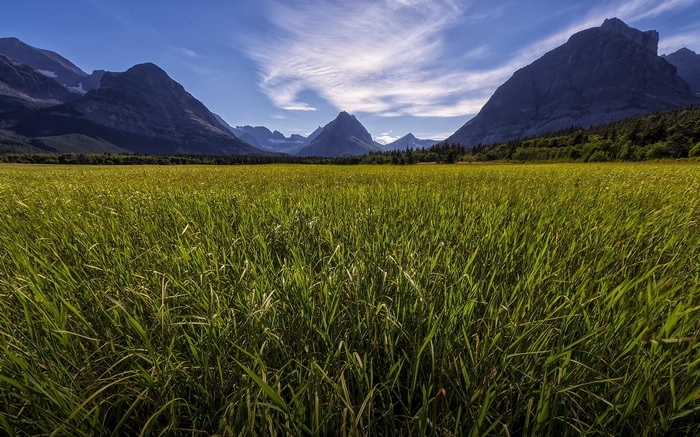 Grassy Meadow with Mountains and Blue Sky