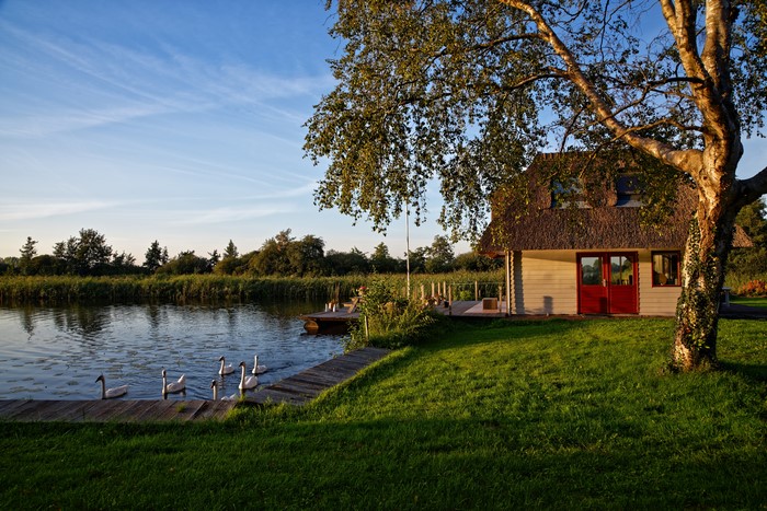 House by the pond with swans in Utrecht, Netherlands
