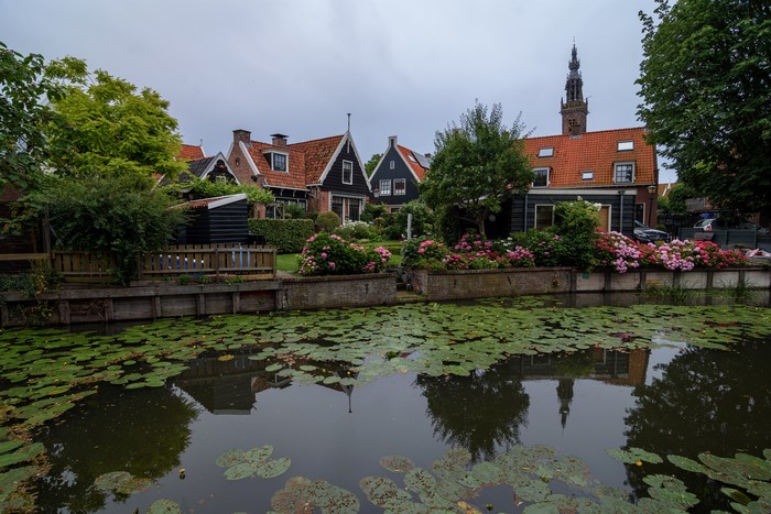 Houses and canal with water lilies in Edam, Netherlands