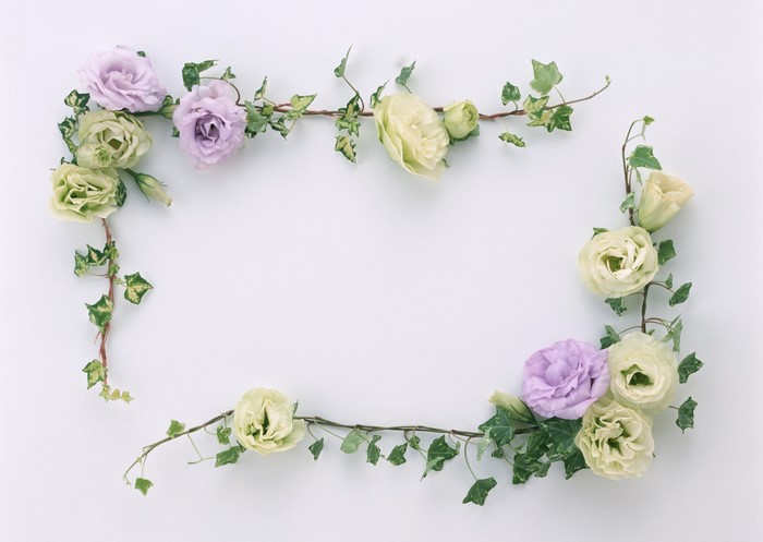 Floral border with purple and green flowers and ivy