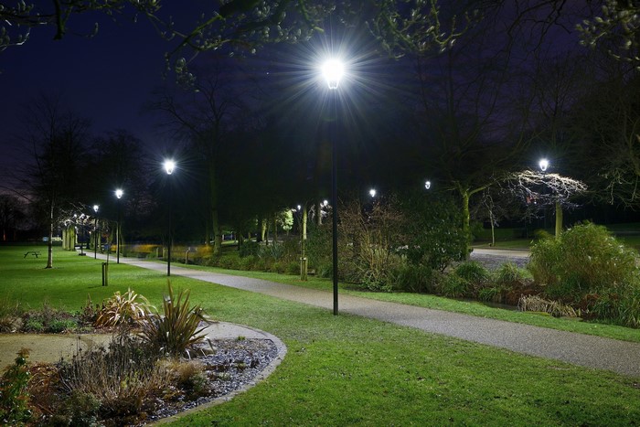 Park at night with street lights and trees