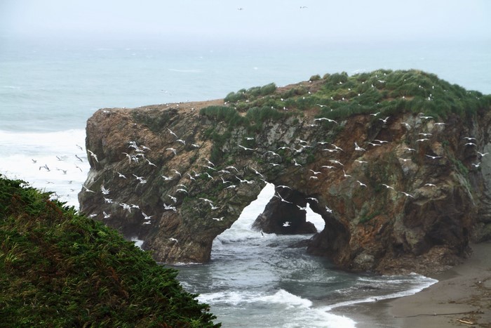 Coastal Rock Arch with Seagulls on Sakhalin Island