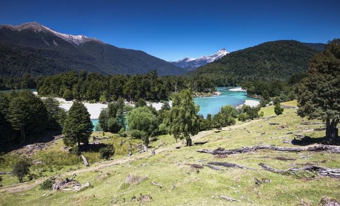 Patagonia, Chile: Mountains, Forests, and Rivers