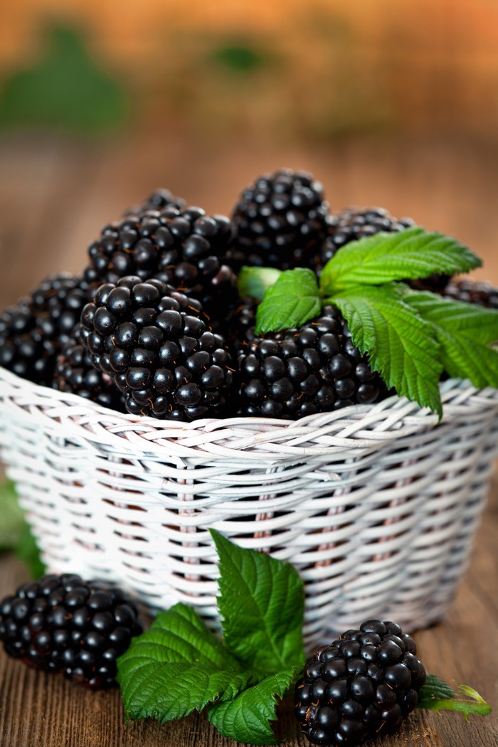 Blackberries in a white wicker basket with green leaves