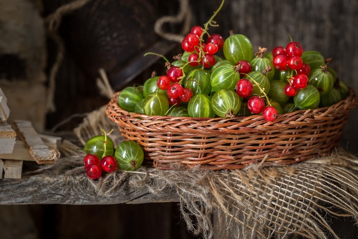 Gooseberries and red currants in a wicker basket