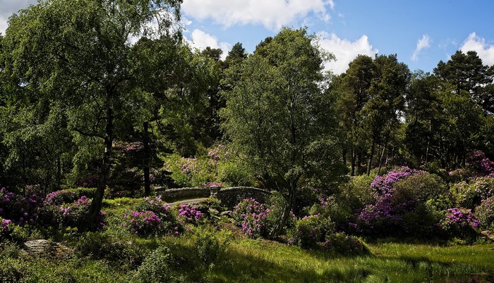 Cragside House and Gardens, England