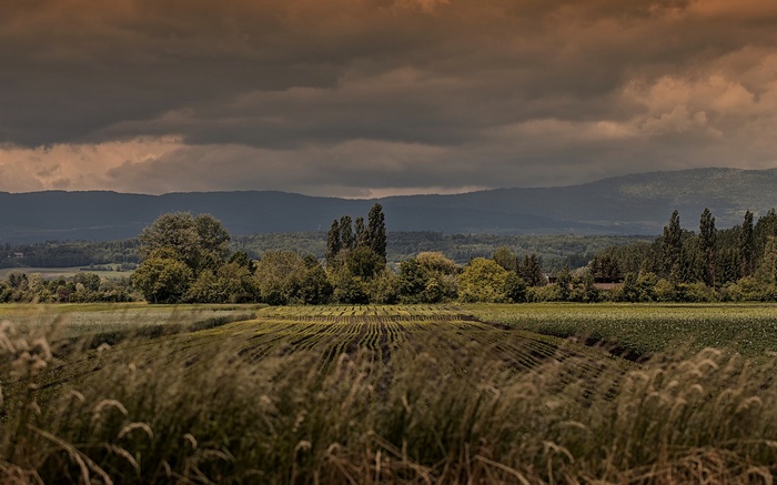 Farm fields and distant mountains under cloudy sky
