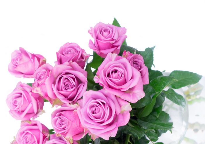 Pink Roses Bouquet