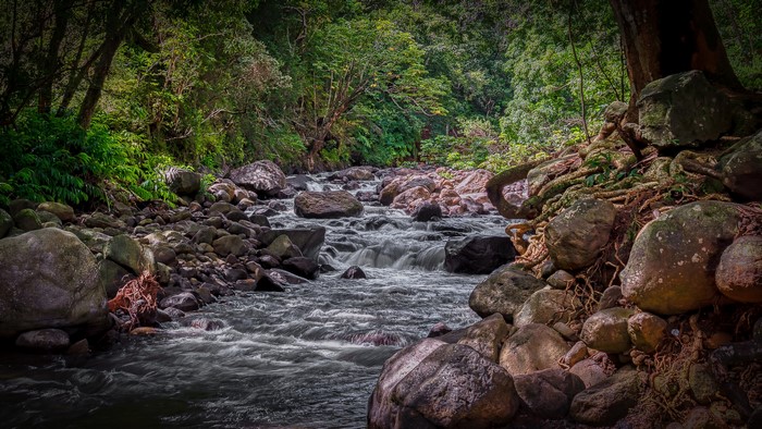 Stream flowing through Iao Valley, West Maui, Hawaii