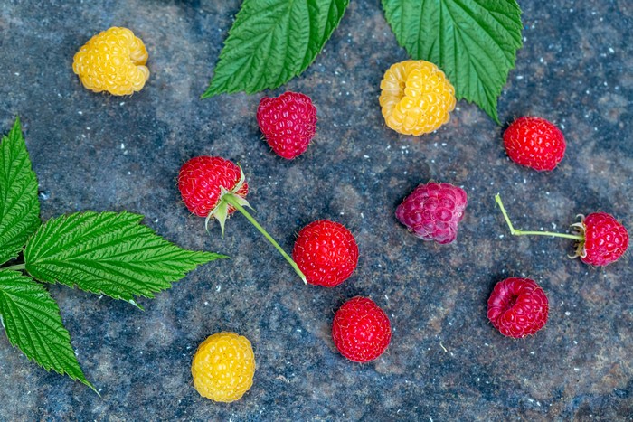 Multicolor raspberries and green foliage on a dark surface