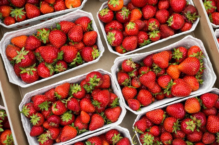 Many strawberries in containers