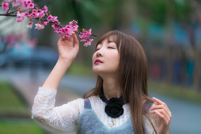 Asian woman smelling cherry blossoms