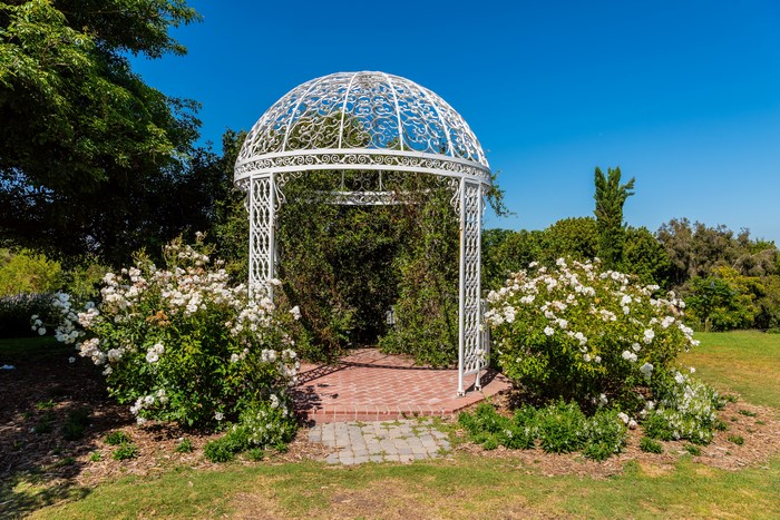 White Gazebo with Roses at South Coast Botanic Garden, California