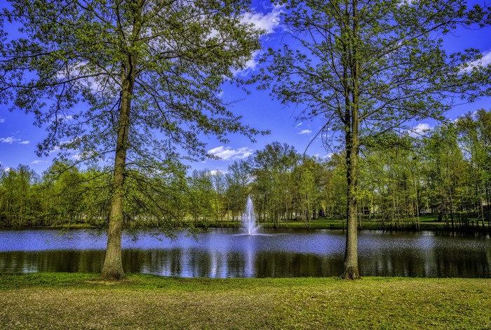 Lake with fountain and trees in New Jersey, USA