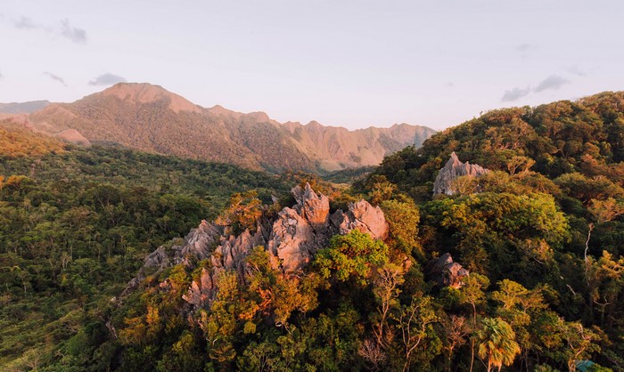 Mountains and Forests in the Philippines