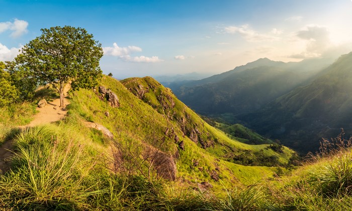 Mountain landscape with a tree and sun rays