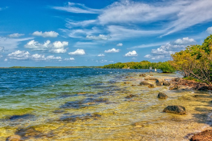 Florida Bay Coastline with Stones and Trees