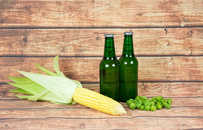 Corn, Hops, and Beer Bottles on Wood
