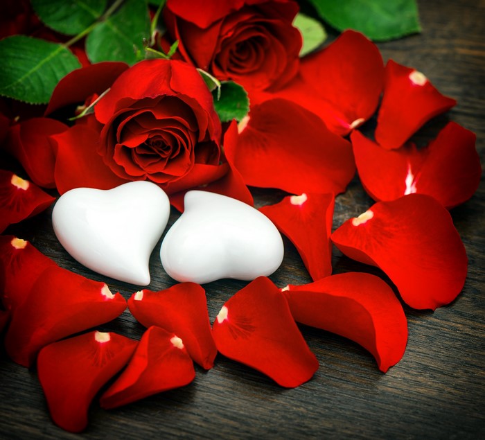 Red roses and petals with two white hearts