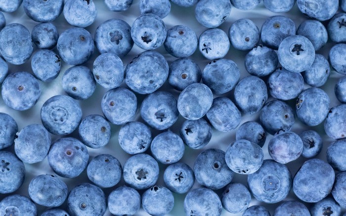 Close-up of many fresh blueberries