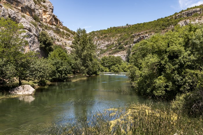 River flowing through a canyon with trees and rocky cliffs
