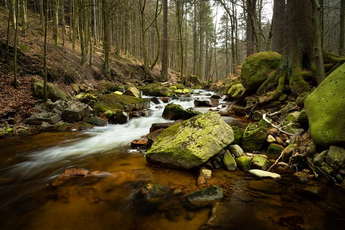 Stream flowing through a rocky forest in Germany