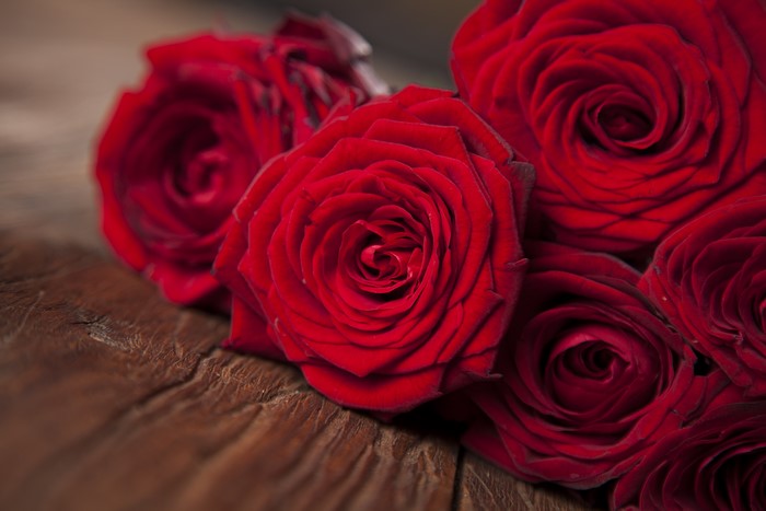 Red Roses Closeup on Wooden Surface