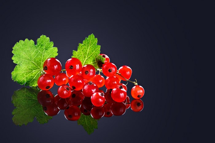 Red Currants with Green Leaves and Reflection