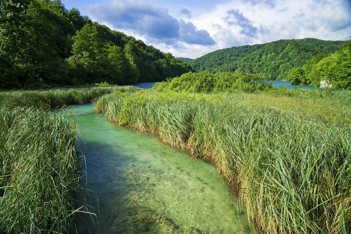 Plitvice Lakes National Park, Croatia, with river and forest