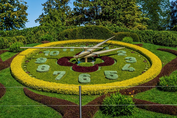 Floral Flower Clock in a Park