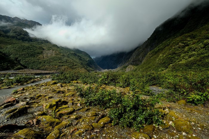 Franz Josef Glacier Valley, New Zealand, Mountains, Fog, Moss