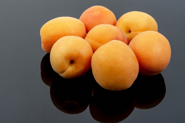 Apricots on a gray background