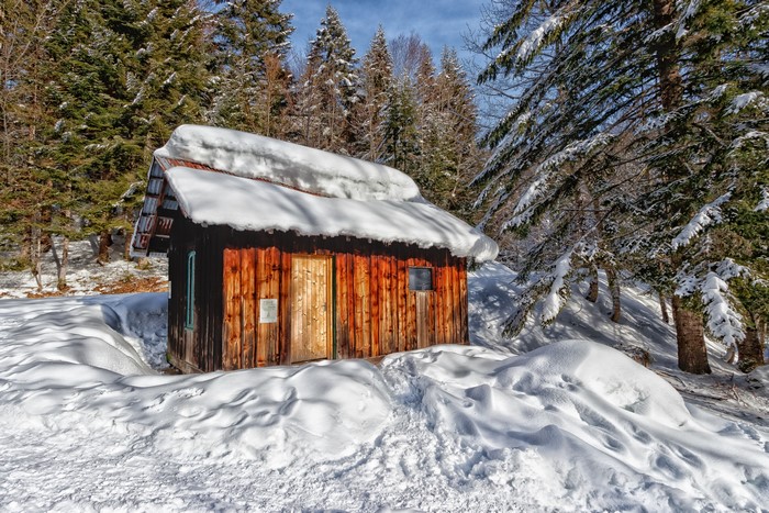 Wooden cabin in snowy forest, Massif des Bauges, Savoie, France