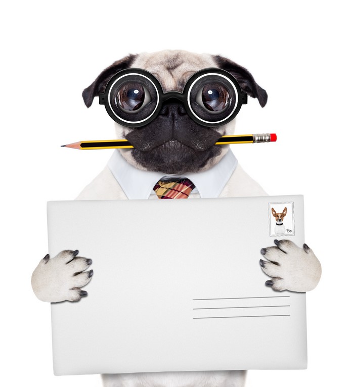 Pug dog with glasses holding envelope and pencil