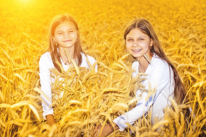 Two young girls in a wheat field