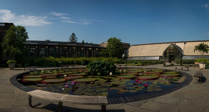 Longwood Gardens Water Lily Pond with Greenhouses